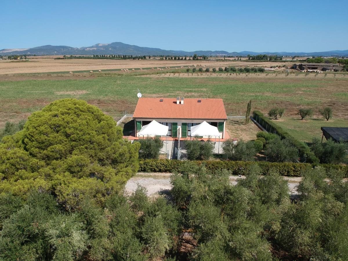 Agriturismo Olivomare Piombino Exteriér fotografie