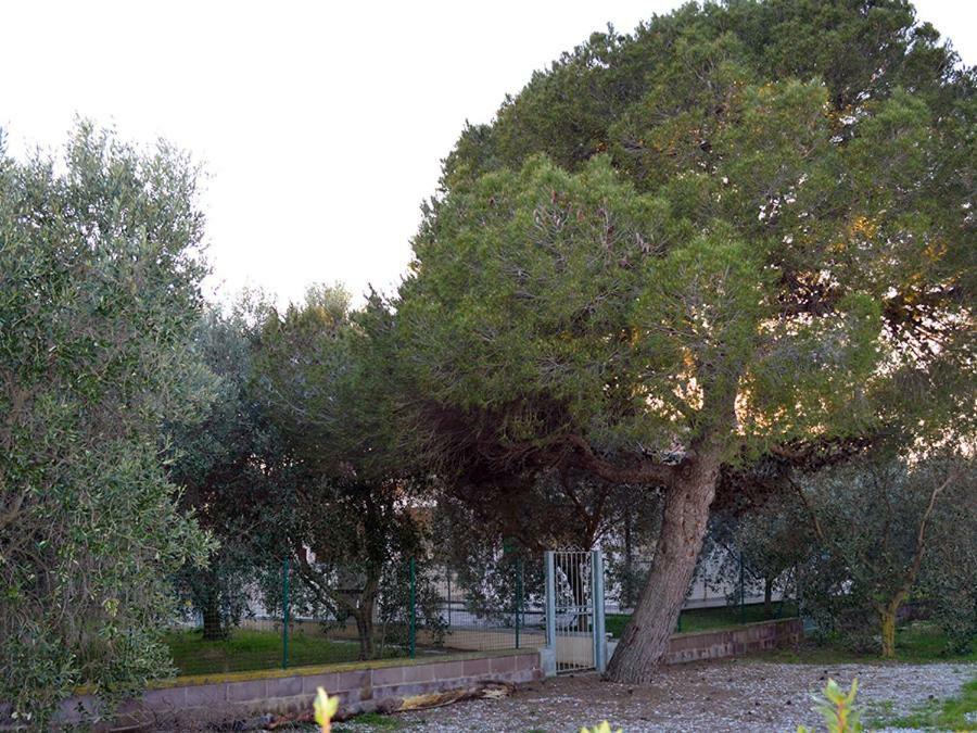 Agriturismo Olivomare Piombino Exteriér fotografie