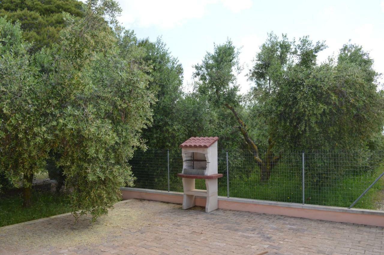 Agriturismo Olivomare Piombino Exteriér fotografie